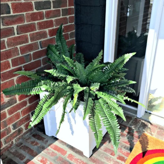 Merachic™ - UV Resistant Lifelike Artificial Boston Fern