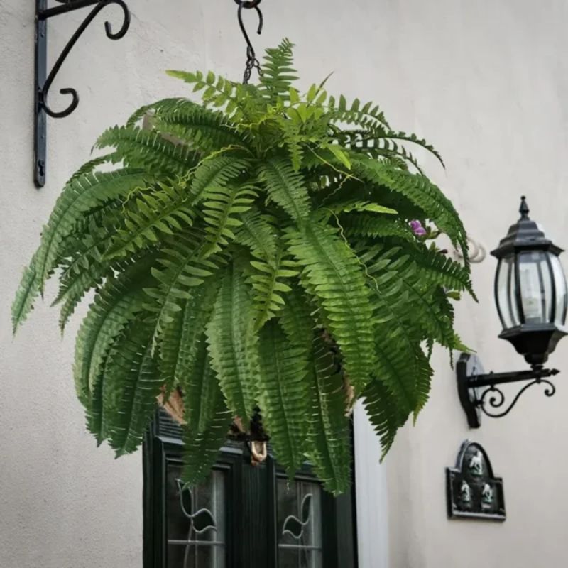 Merachic™ - UV Resistant Lifelike Artificial Boston Fern