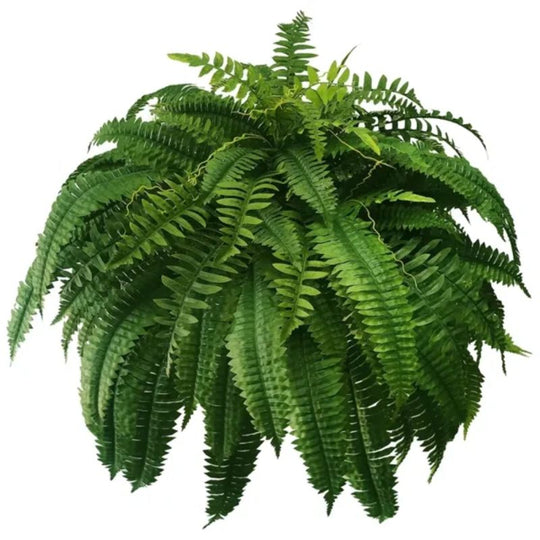 Merachic™ - UV Resistant Lifelike Artificial Boston Fern